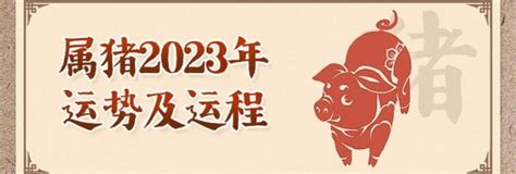 猪年2024运程|属猪2024年运势及运程详解每月 2024年属猪人的全年运势